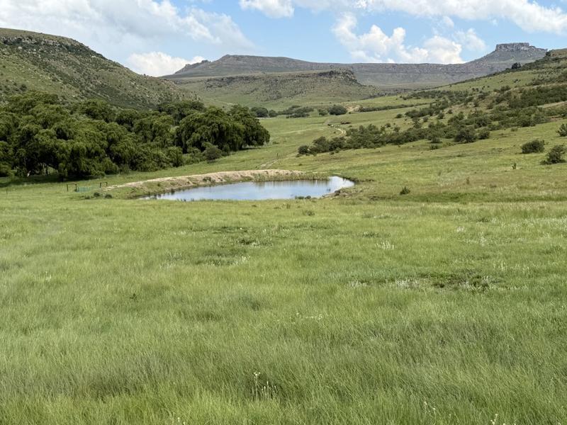 0 Bedroom Property for Sale in Harrismith Free State